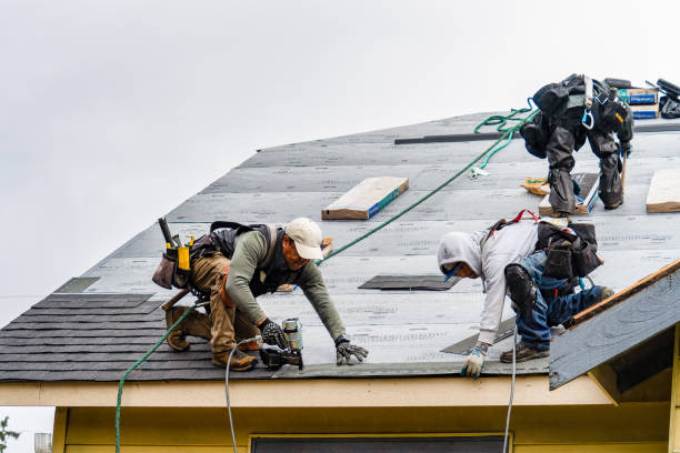 Professional Gutter Installation technician working in Lake Park, MN